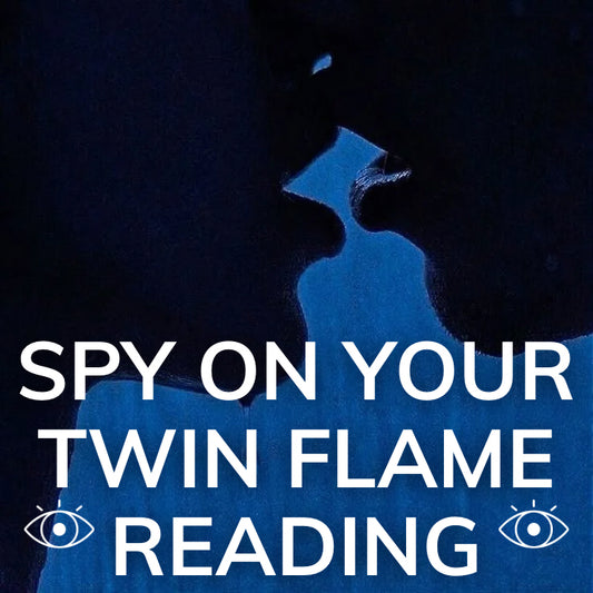 Twin Flame "Fly On The Wall"  Personal Reading